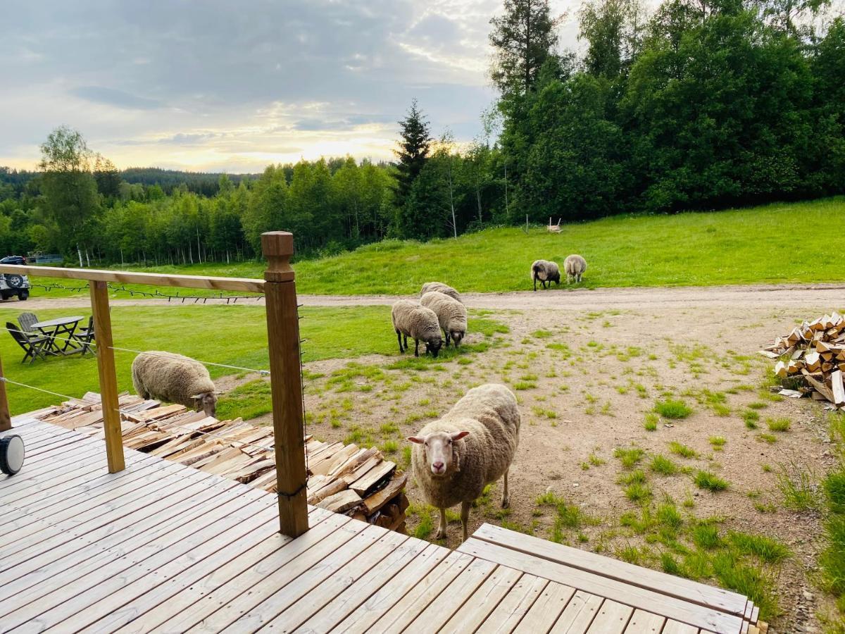 Adventure Guesthouse Sweden In Rural Area Sunne Zewnętrze zdjęcie