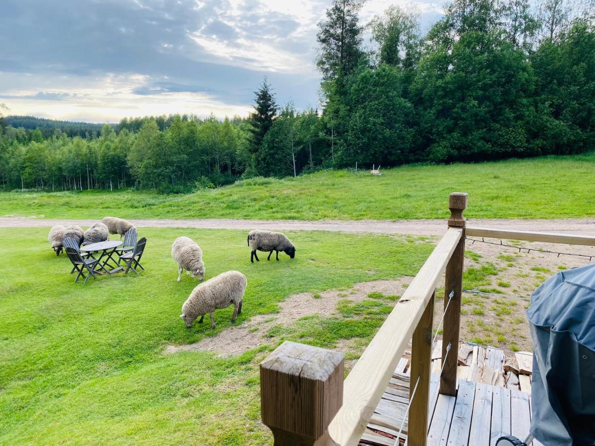 Adventure Guesthouse Sweden In Rural Area Sunne Zewnętrze zdjęcie