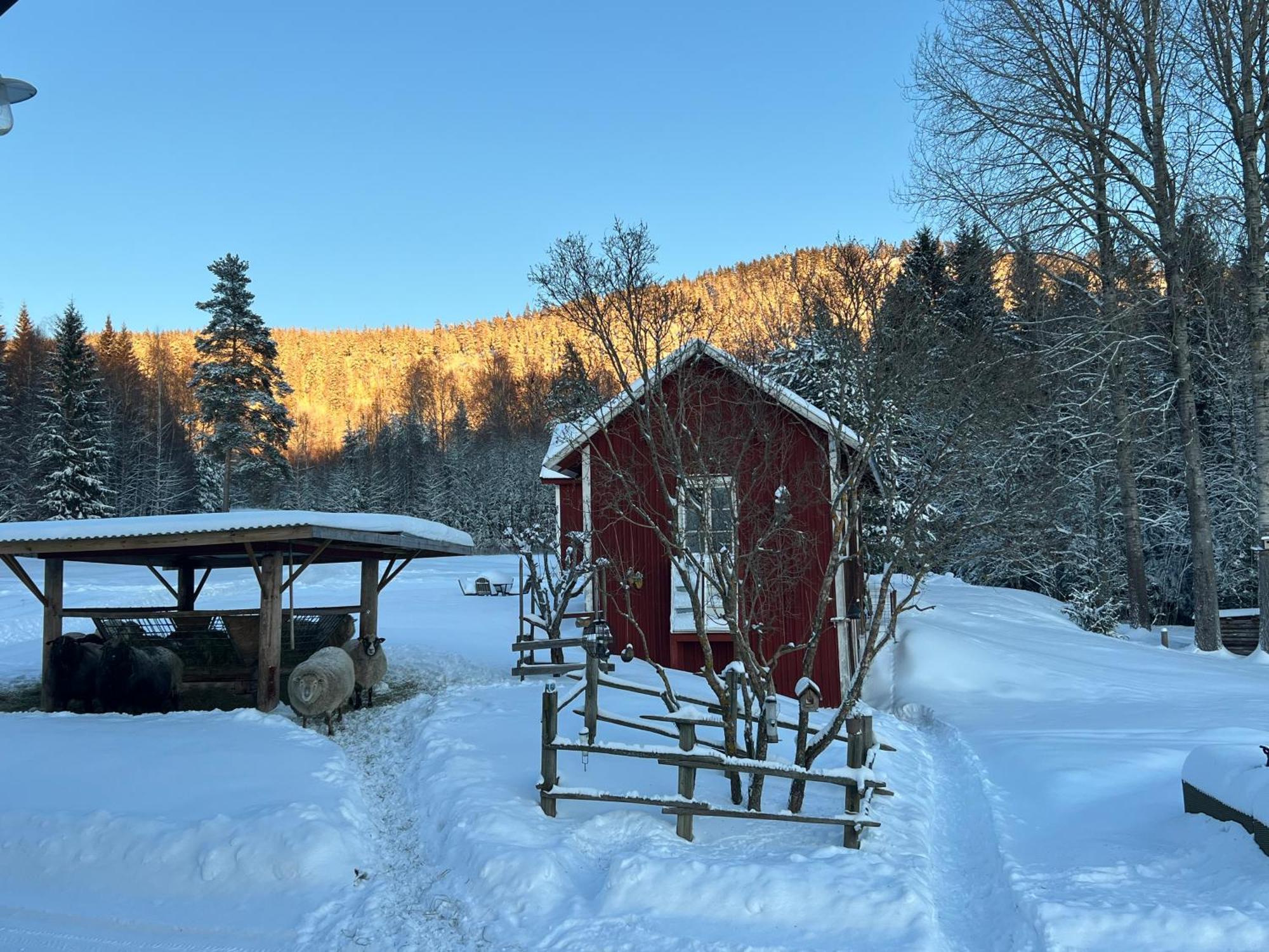 Adventure Guesthouse Sweden In Rural Area Sunne Zewnętrze zdjęcie